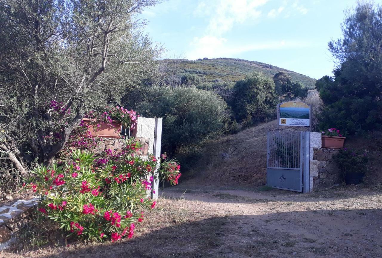 Azienda Agrituristica La Janna Di La Faj Будони Екстериор снимка