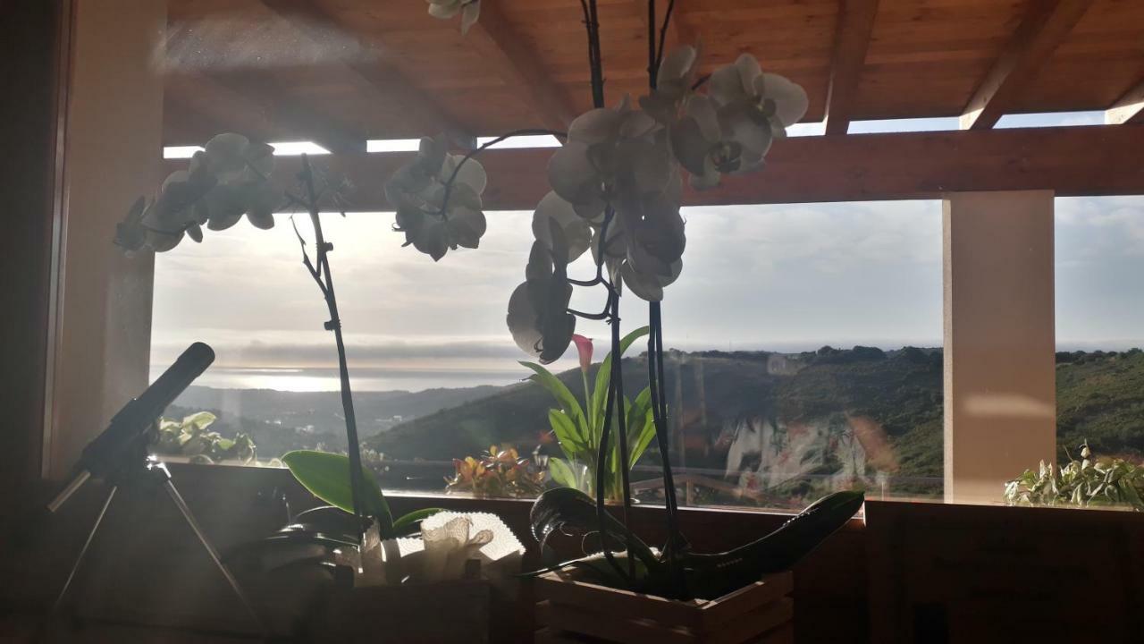 Azienda Agrituristica La Janna Di La Faj Будони Екстериор снимка